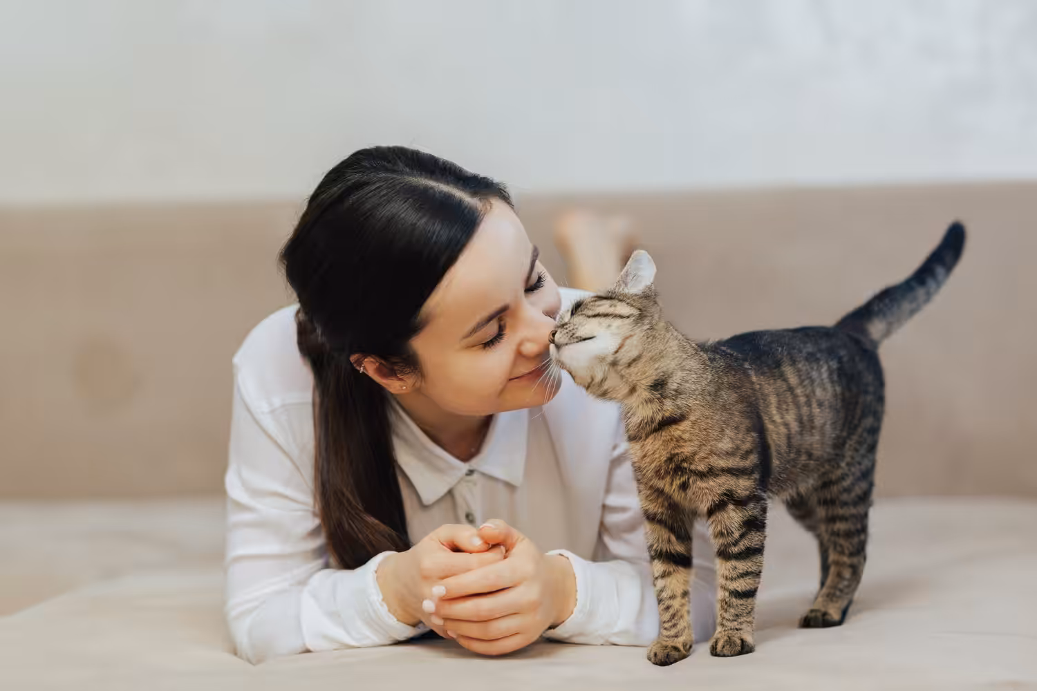 Veterinária desvenda boatos negativos sobre os gatos