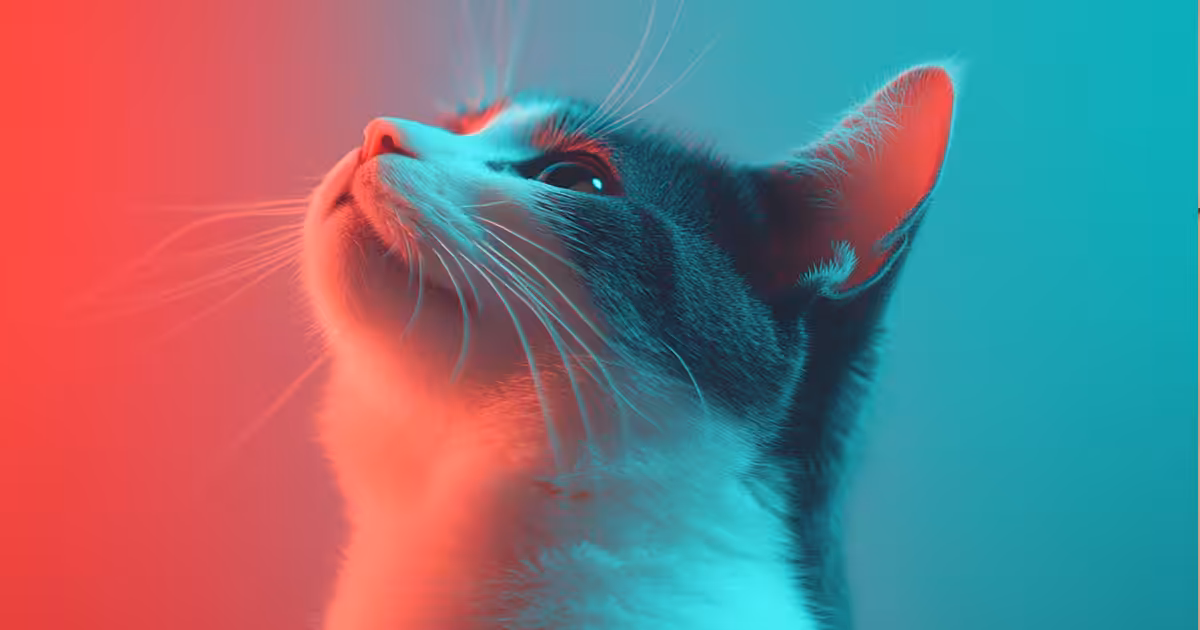 Doença renal crônica em gatos: como diagnosticar e tratar para garantir qualidade de vida