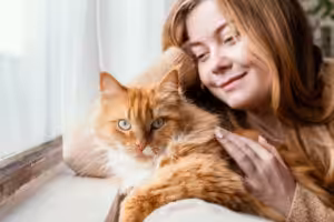 Estudo de genoma revela marco na história da domesticação dos gatos