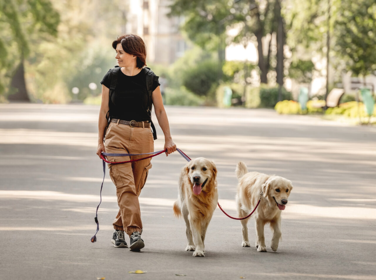 Passeio com cães ganha destaque em evento gratuito no Parque Ibirapuera