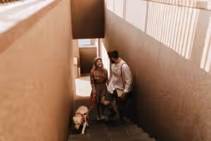 Regras para convivência de pets em condomínios