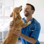 Comissão da Câmara aprova piso salarial de R$ 10 mil para médicos-veterinários e zootecnistas