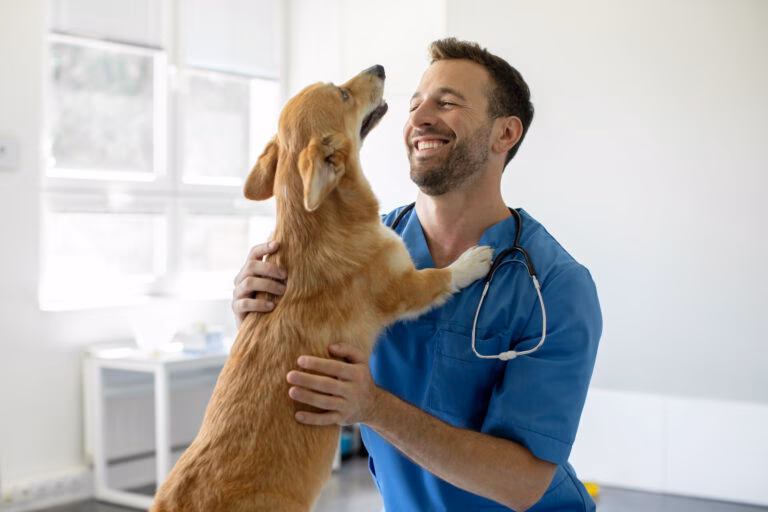 Comissão da Câmara aprova piso salarial de R$ 10 mil para médicos-veterinários e zootecnistas