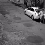 Homem arremessa cão de cão e é indiciado por maus-tratos em MG