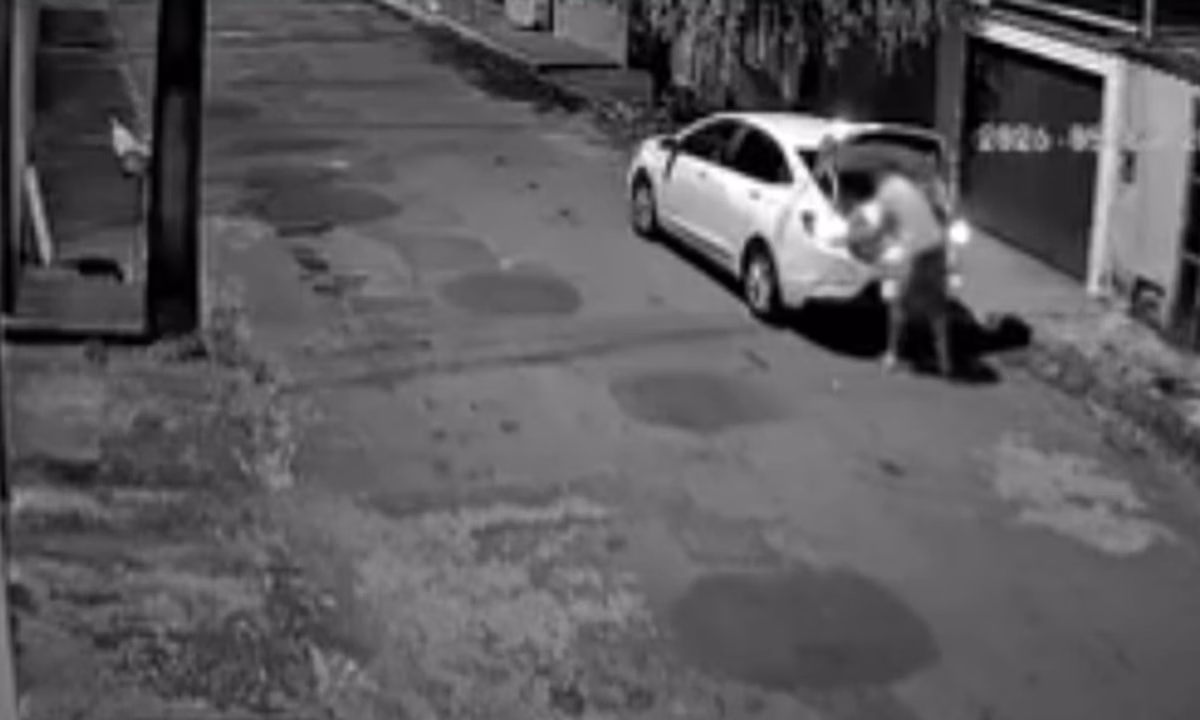 Homem arremessa cão de carro e é indiciado por maus-tratos em MG