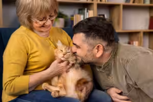 homem e mulher fazendo carinho em um gato laranja