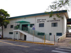 hospital-veterinario