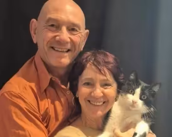 Gato perdido na Espanha percorre 250 km e consegue voltar para casa na França