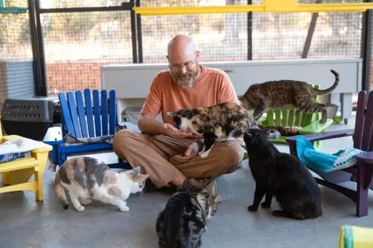 Voluntário cria cadeiras especiais para gatos resgatados e transforma conforto em ferramenta de reabilitação em abrigo