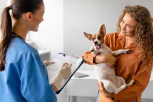 O que você precisa saber antes de contratar um seguro saúde pet