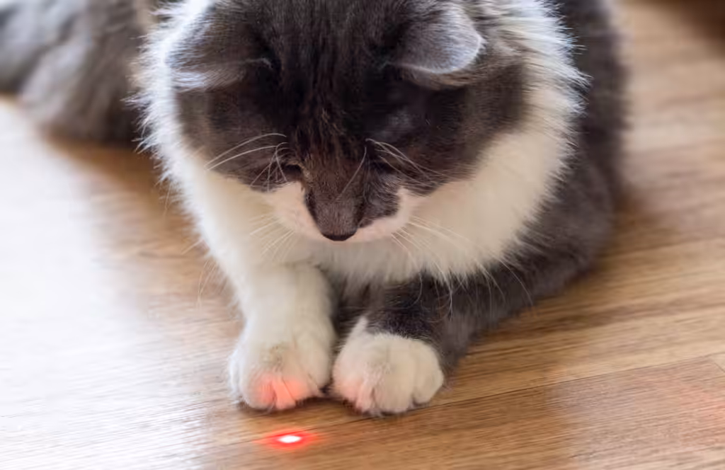 luz de laser
