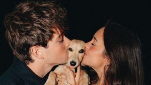 De Taylor Swift a Nicole Bahls: pets de famosos que conquistam o público e dominam as redes
