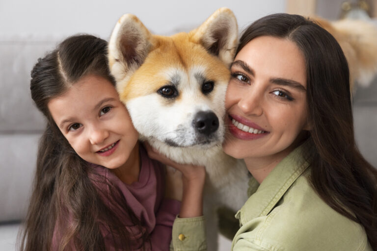 Guarda compartilhada de pets: entenda como funciona a nova lei
