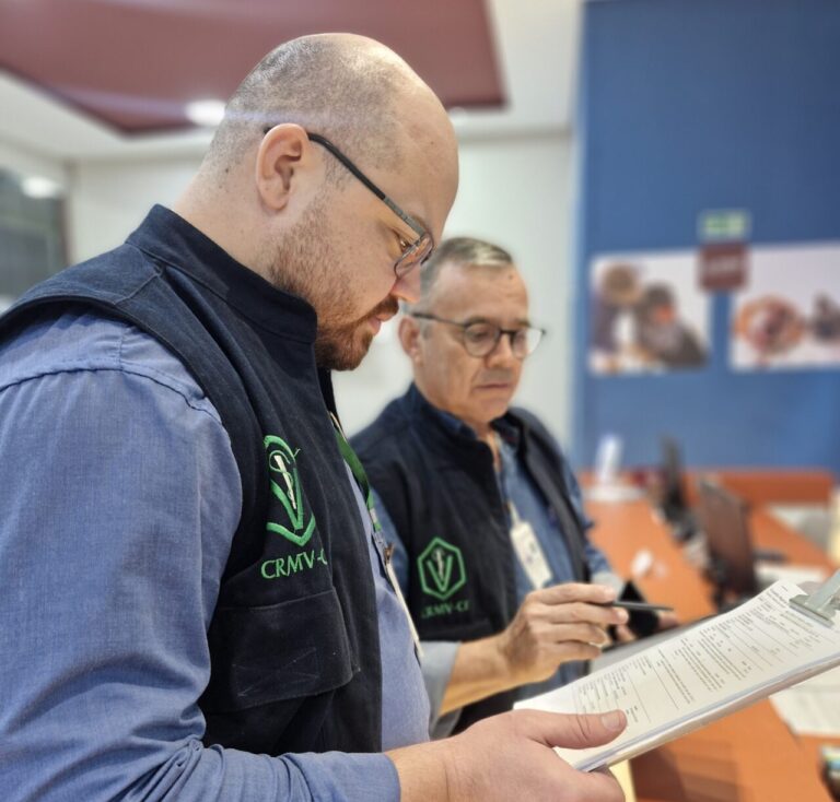 Plantão sem médico: fiscalização flagra vácuo no atendimento de emergência pet