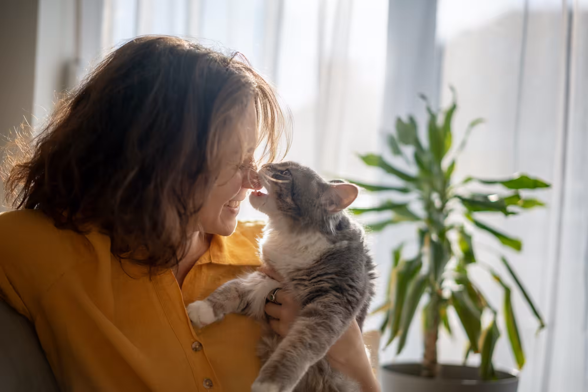 Prolongue a vida do seu pet com estas cinco dicas