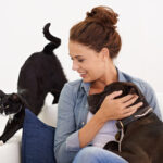 Dia do Amigo: o que torna cães e gatos verdadeiros amigos de seus responsáveis?