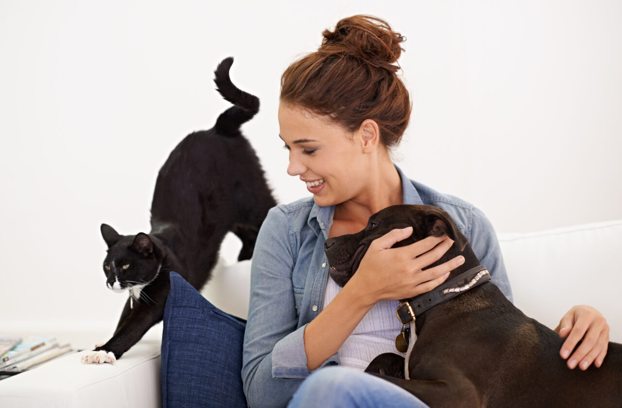 Dia do Amigo: o que torna cães e gatos verdadeiros amigos de seus responsáveis?