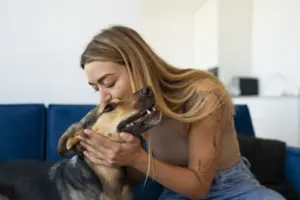 pet bem-estar