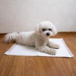 Incontinência urinária e seus determinantes multifatoriais