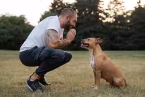 Tom de voz pode afetar o equilíbrio dos cães
