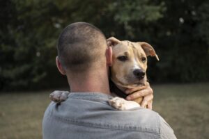 fragilidade em cães