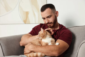 pai gato