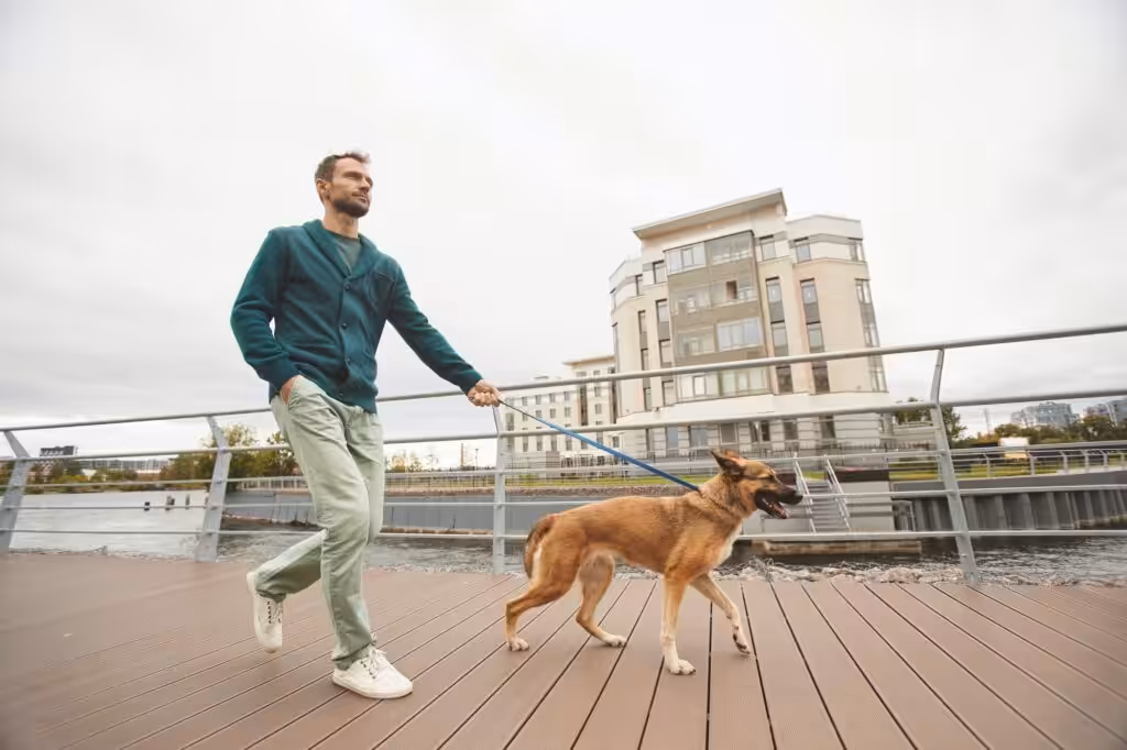 Man with dog in the city