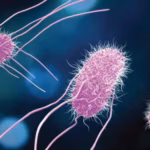 Irradiação na alimentação pet: tecnologia segura pode reduzir riscos microbiológicos