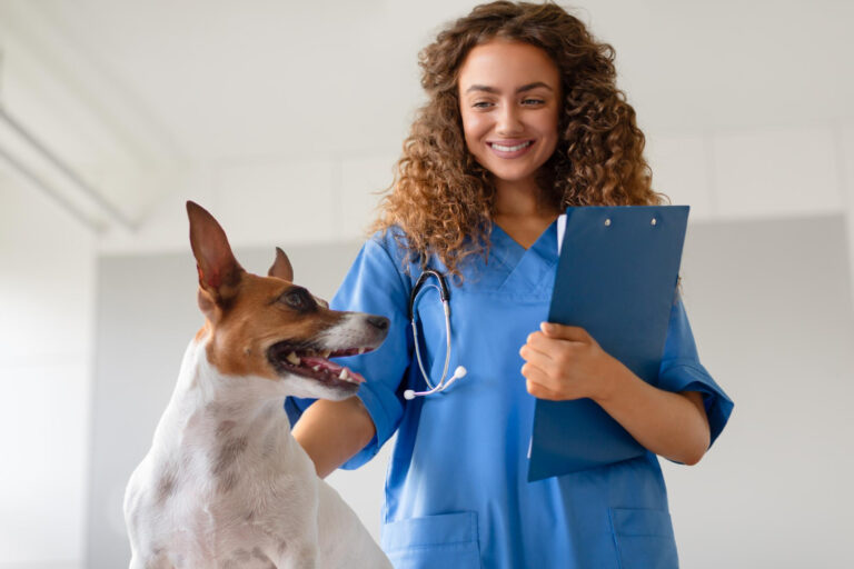 Código de Ética do Médico Veterinário - Guia da Conduta Ética