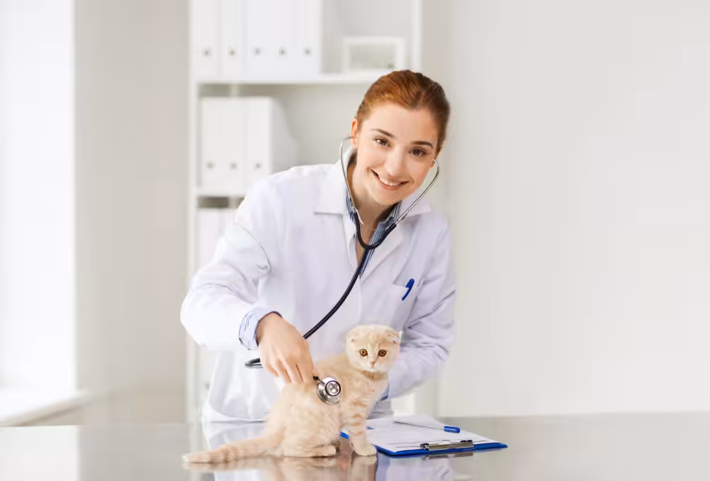 CRMV-SP realiza Semana do Médico-Veterinário para homenagear os profissionais