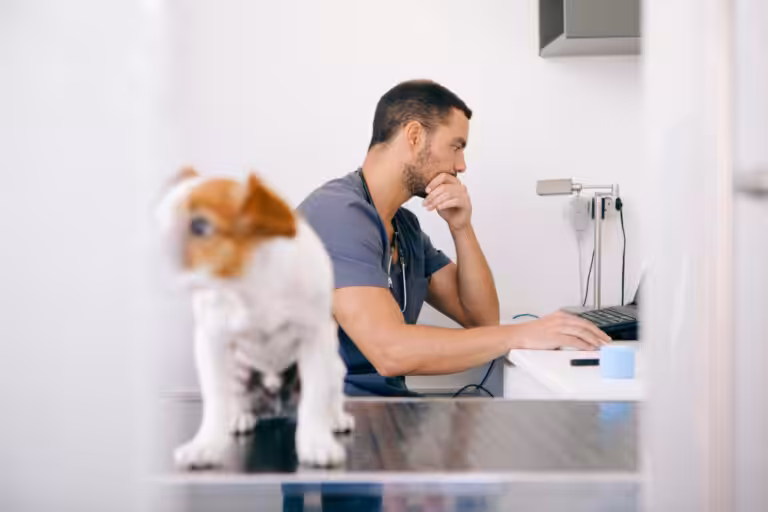 Pressões da profissão comprometem a saúde mental de médicos-veterinários