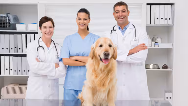 Vocação que transforma: médicos-veterinários compartilham experiências marcantes da carreira