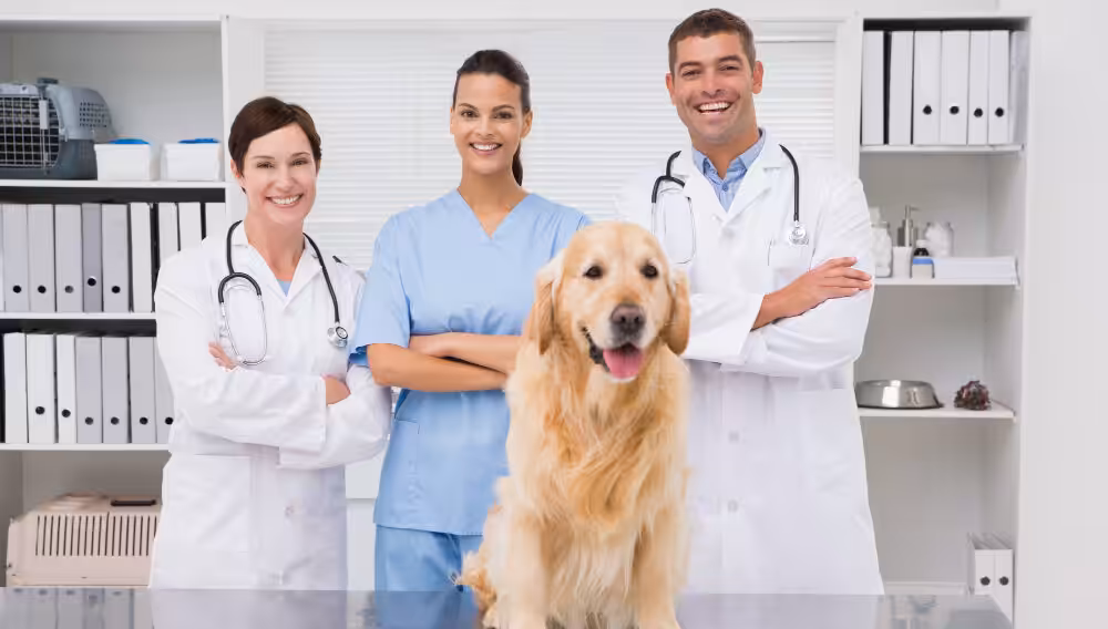 Vocação que transforma: médicos-veterinários compartilham experiências marcantes da carreira