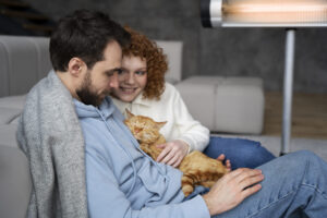 gatos nos EUA