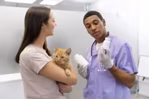 Medicamentos humanos tóxicos para cães e gatos