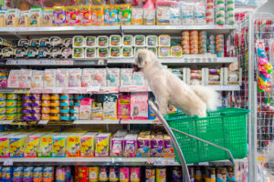 mercado pet
