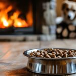 Pets precisam de mais alimento no inverno? Veterinária esclarece o que é mito e verdade