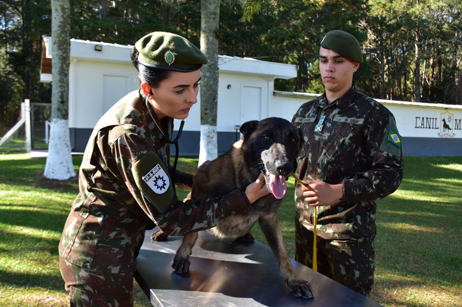 foto-exercito