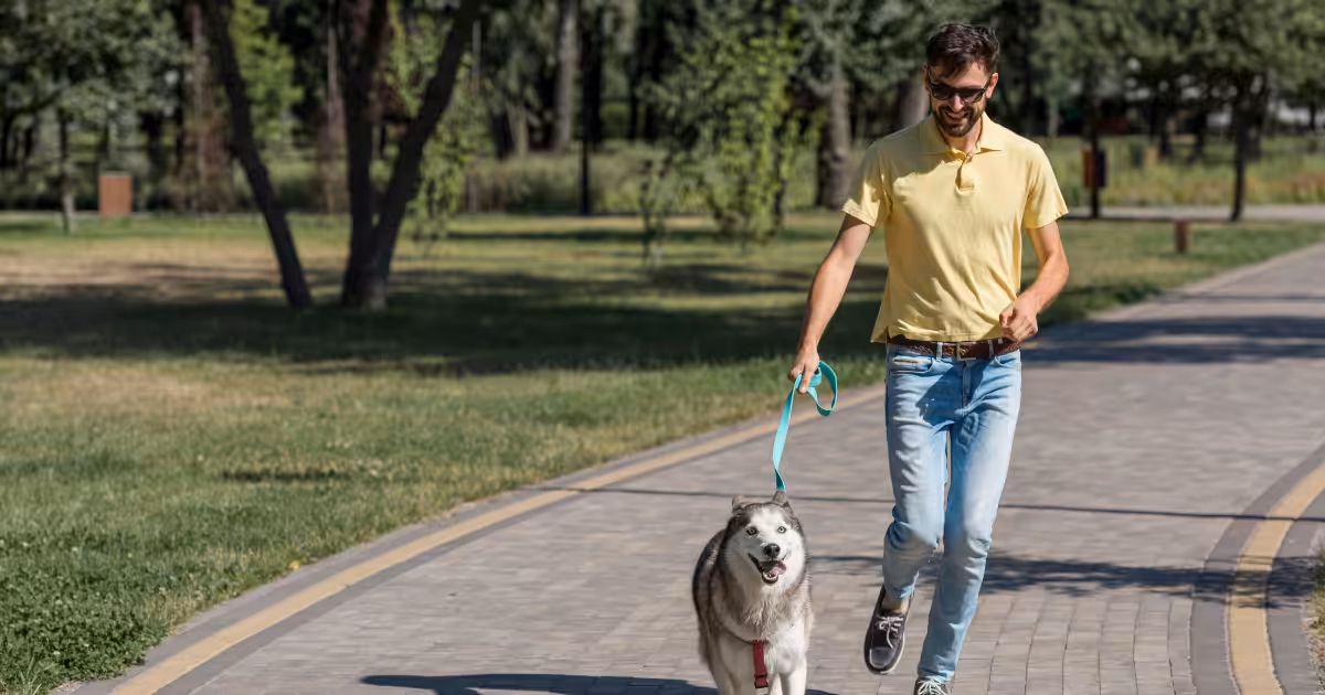 Novo decreto garante acesso de cães de assistência a espaços públicos em toda a Espanha