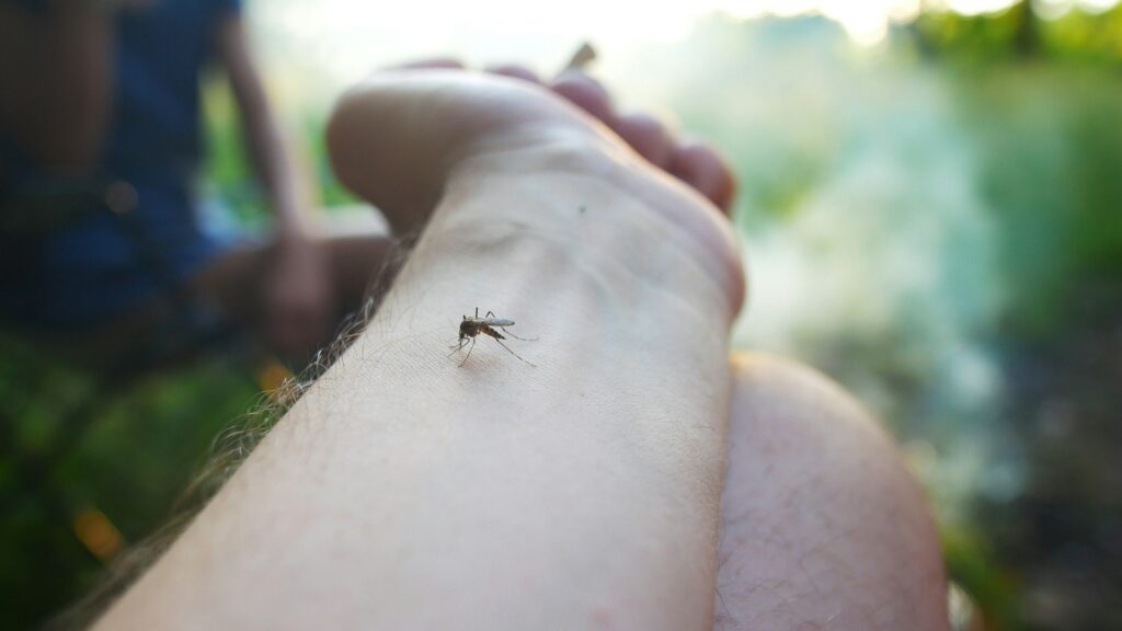 mosquito bites hand
