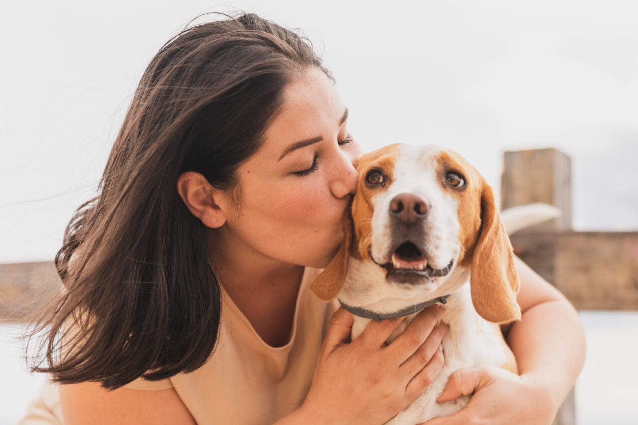 Projeto de lei quer incluir pets na Lei Maria da Penha