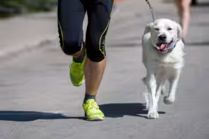 Corrida com cães: entenda como praticar o exercício com segurança