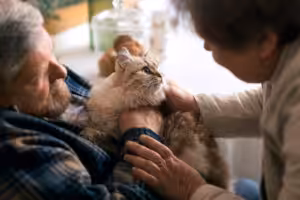 mulher fazendo carinho em um gato