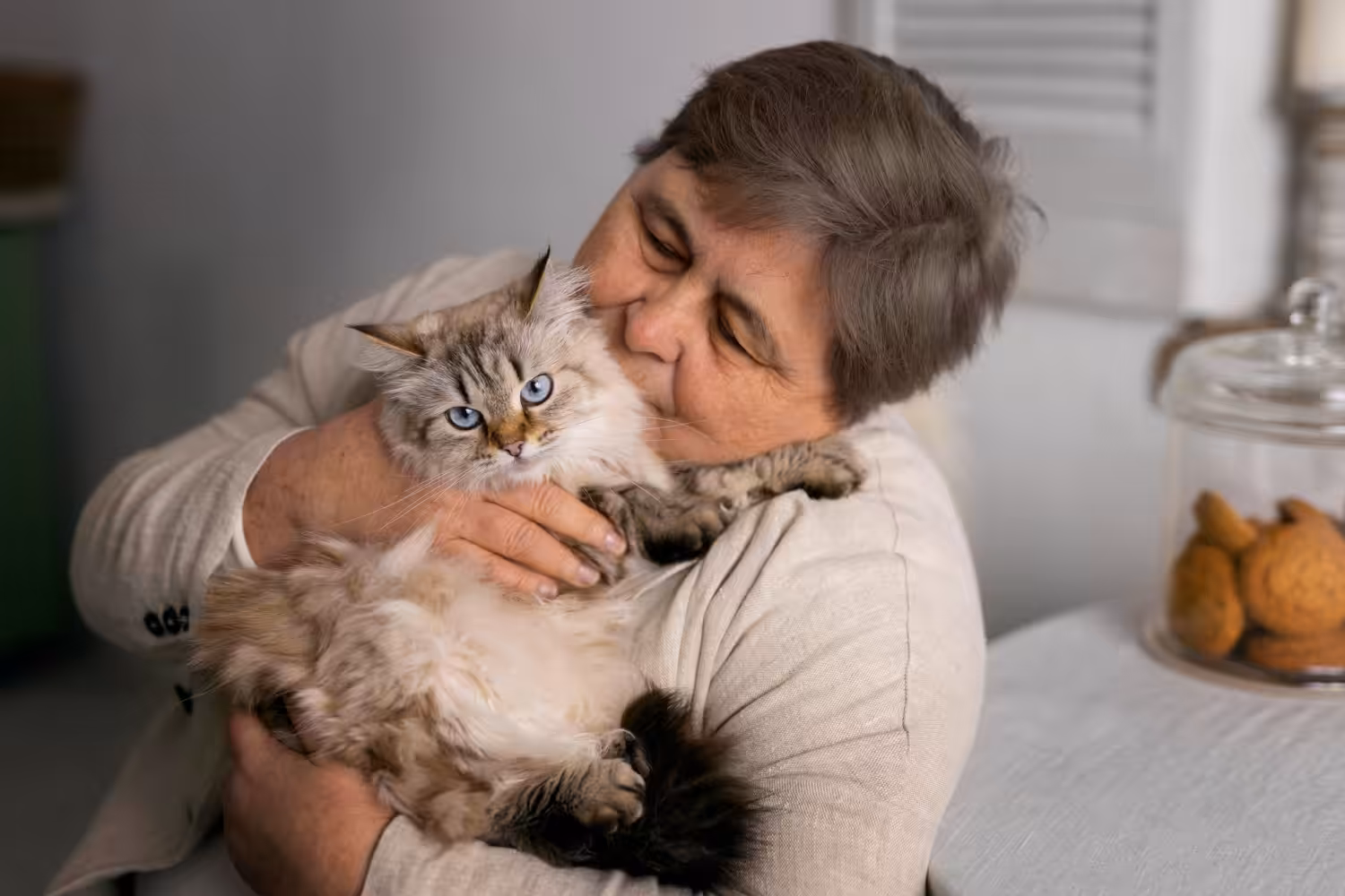Gatos vêm conquistando a preferência entre tutores de pets