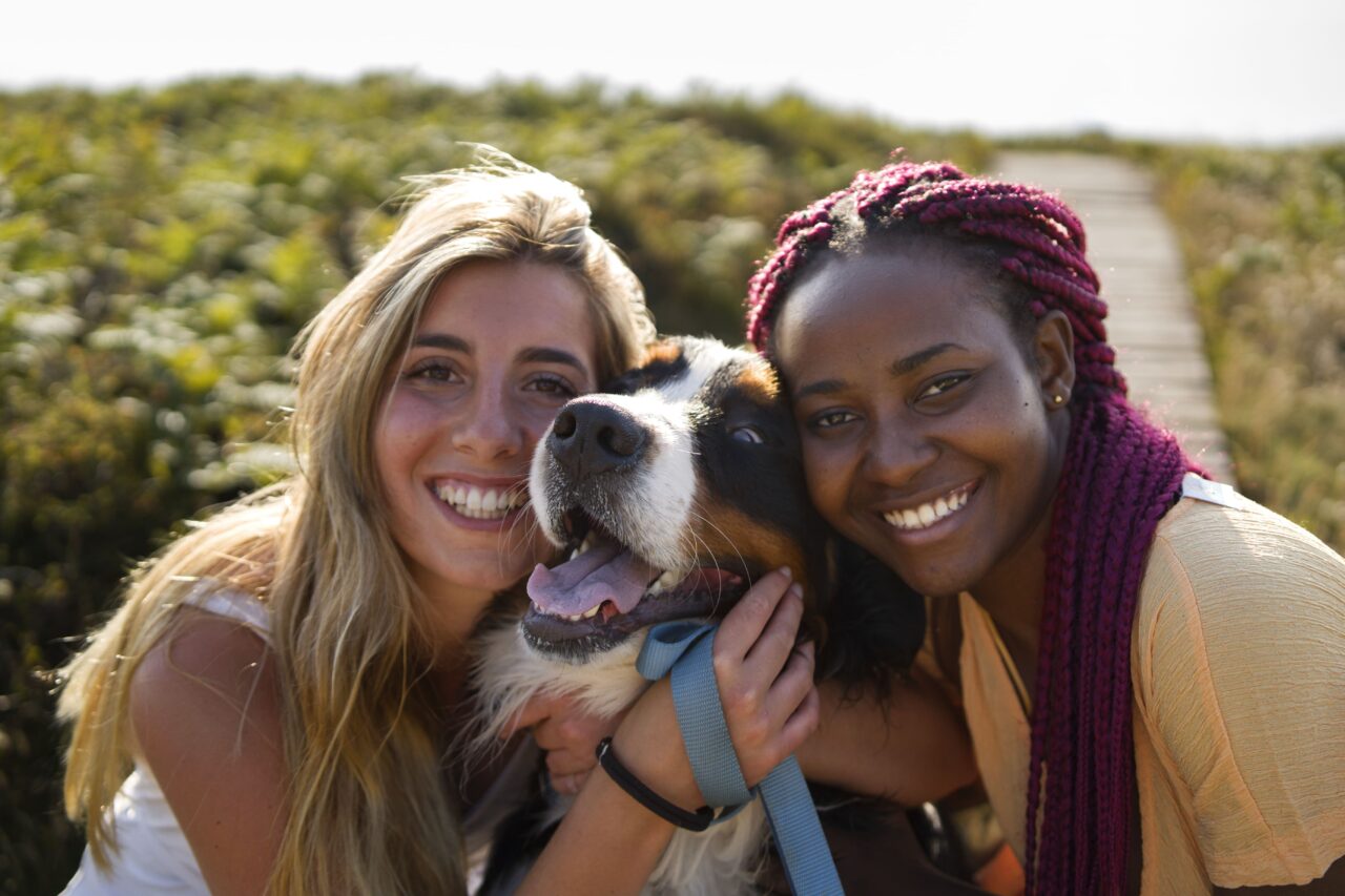 Casais jovens trocam filhos por pets, e cães já superam crianças em bairros da Inglaterra