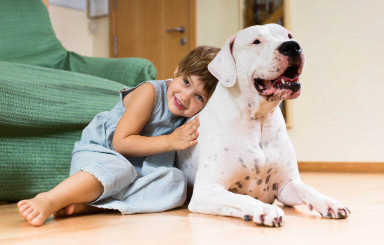 Como deve ser a adaptação entre pets e crianças? Entenda agora!