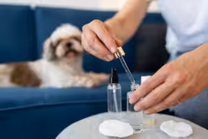 óleo ozonizado para cachorro