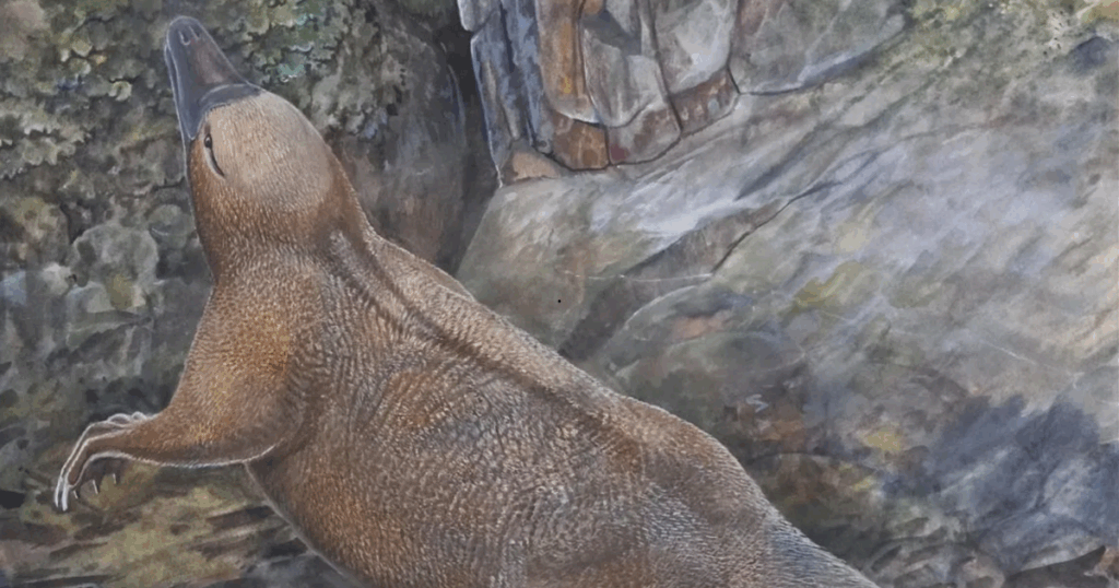 Estudo revela ancestral enigmático dos mamíferos mais primitivos do planeta