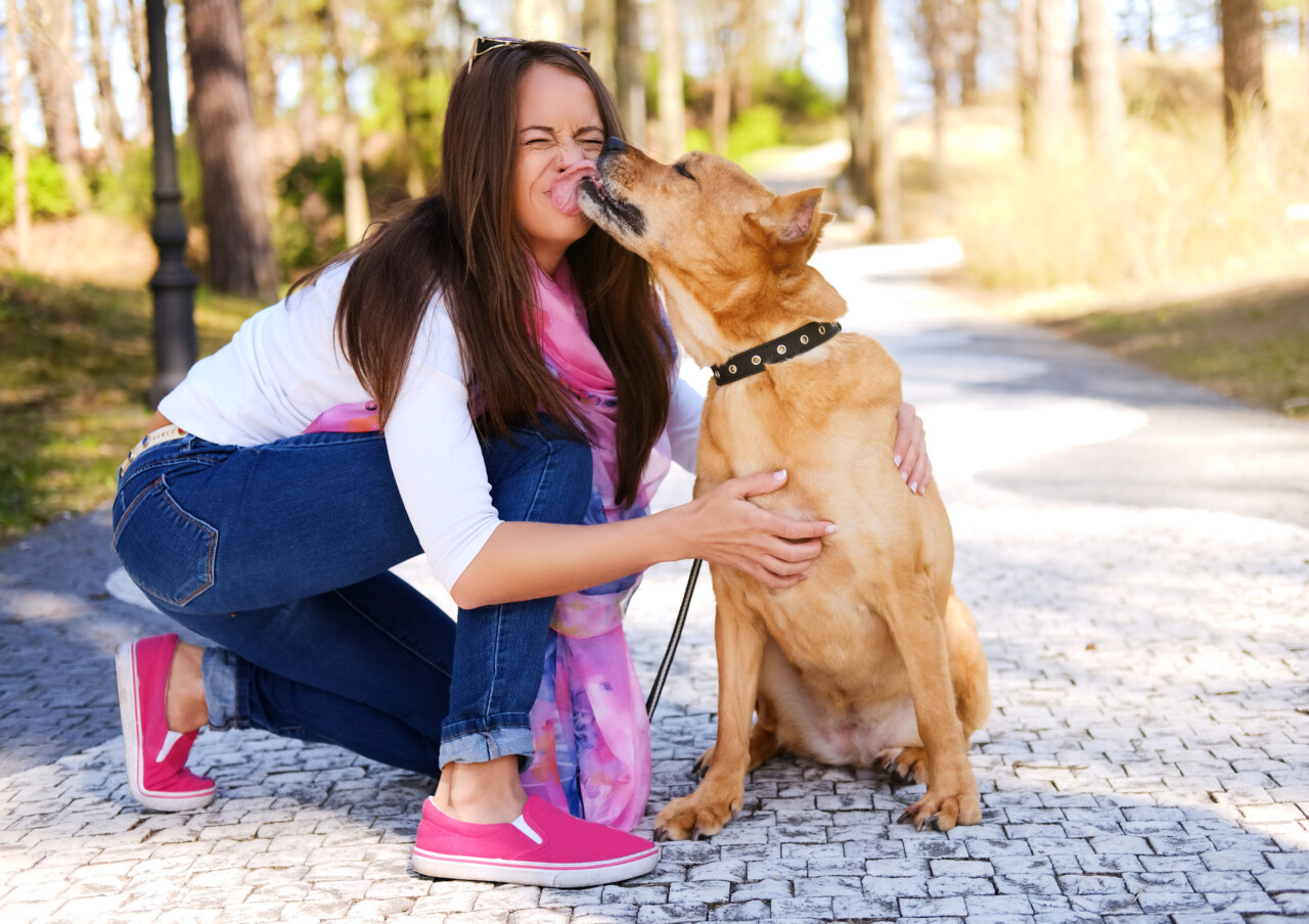 Entre afeto e responsabilidade: o que sustenta a relação entre pessoas e cães