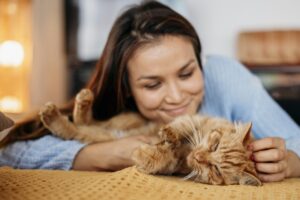 animais de estimação